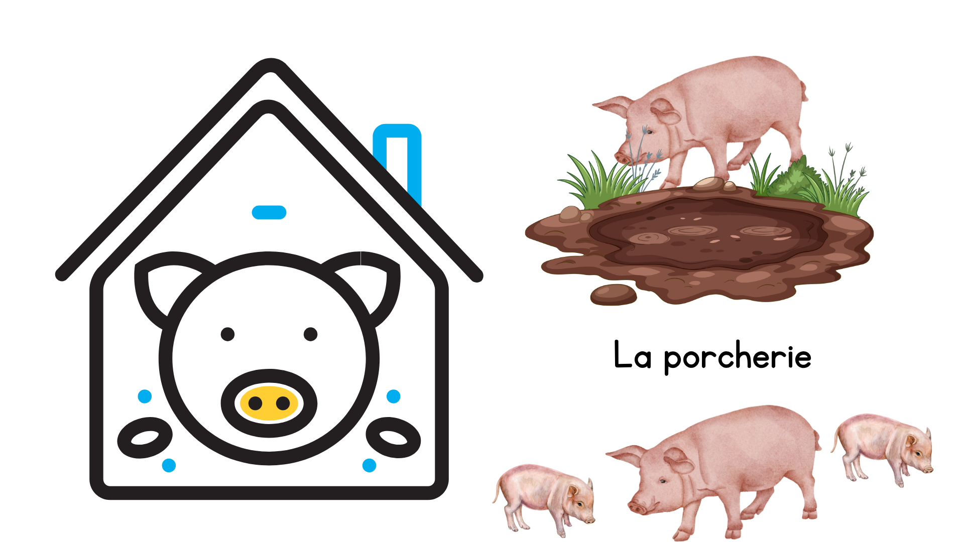 Les familles des animaux La ferme