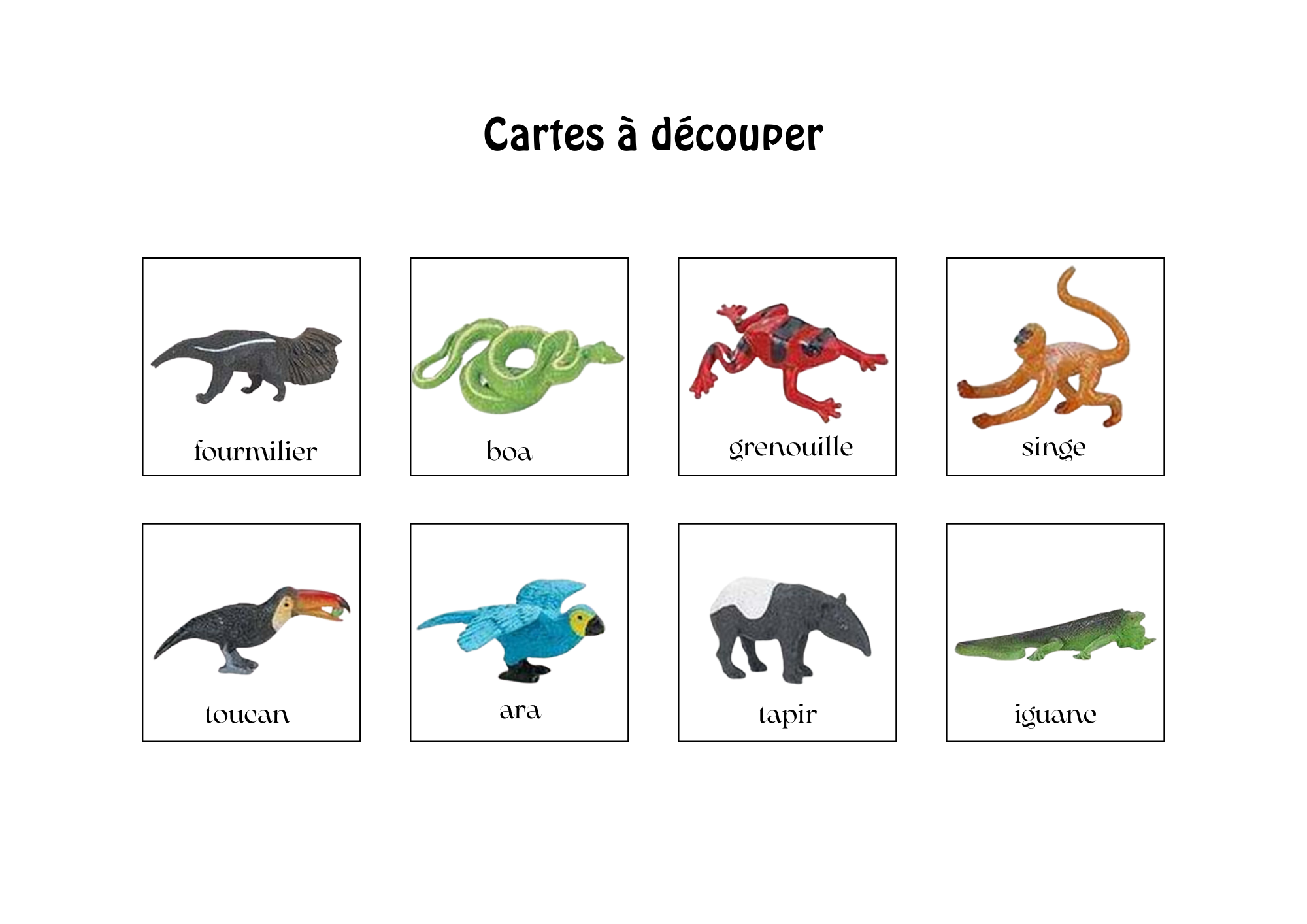 Task Box Lis et Construis "La forêt tropicale"