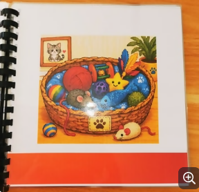 LE LIVRE DU CHAT QUI TRAVAILLE LE SON "CH"