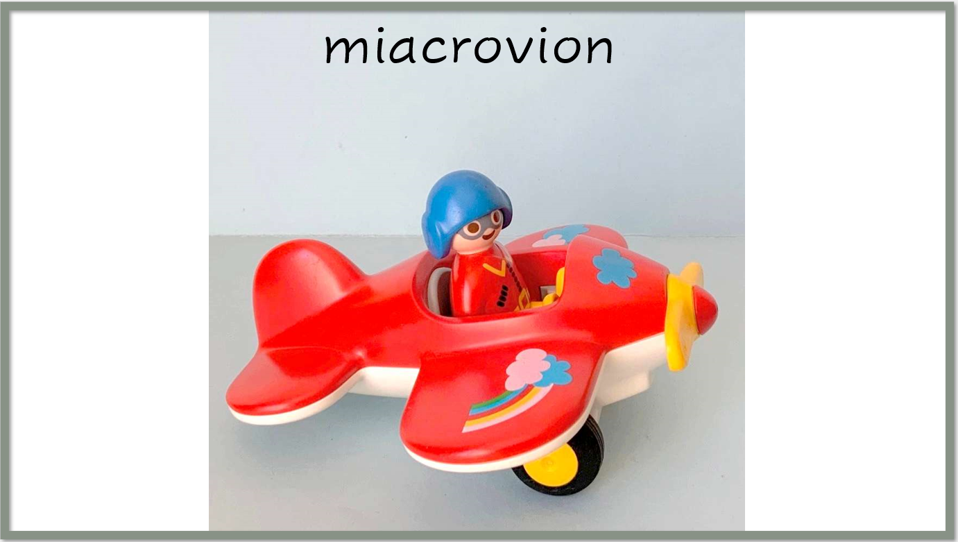 Mots imbriqués chez les playmos