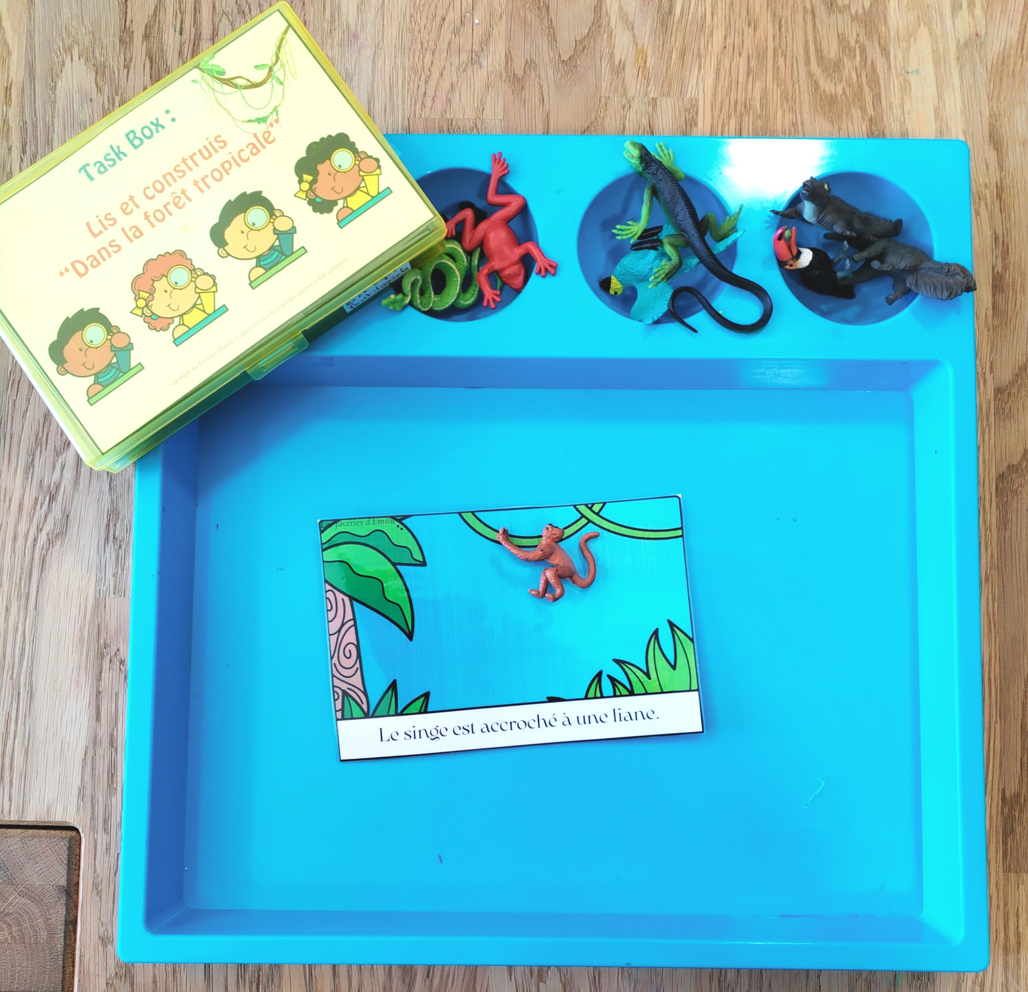 Task Box Lis et Construis "La forêt tropicale"