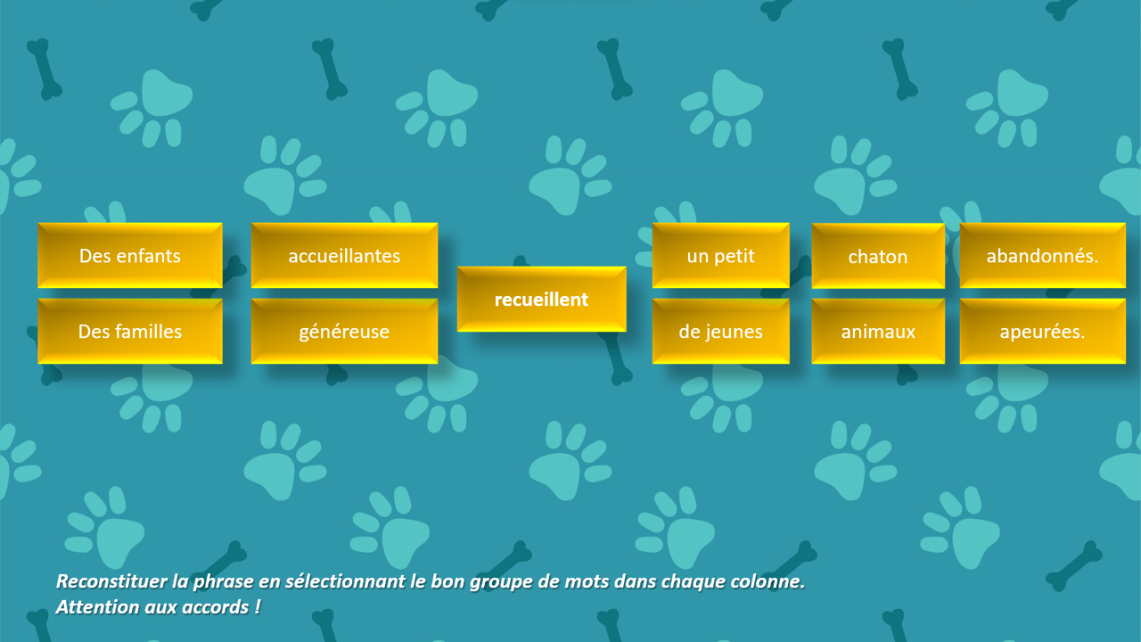 Nos animaux de compagnie