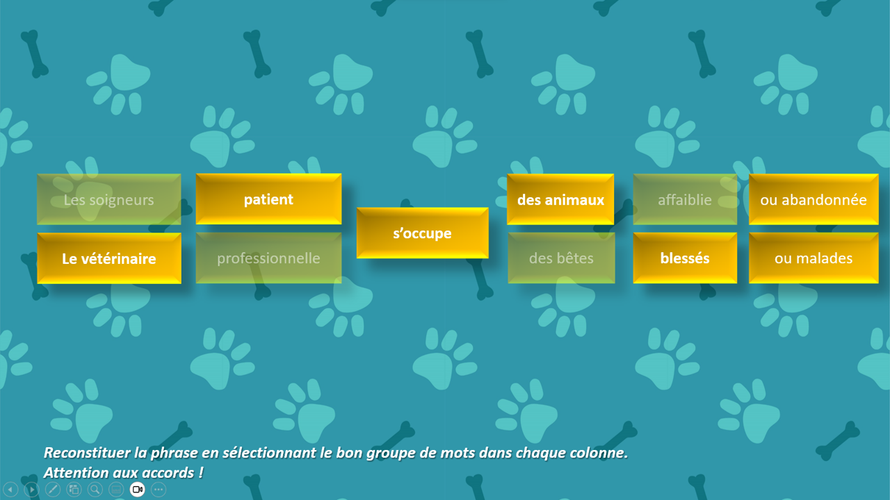 Nos animaux de compagnie