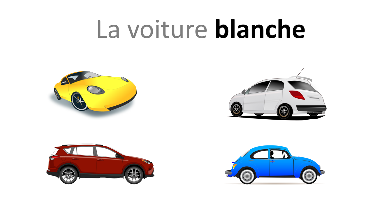 Sur le chemin des mots - Adjectifs de couleur