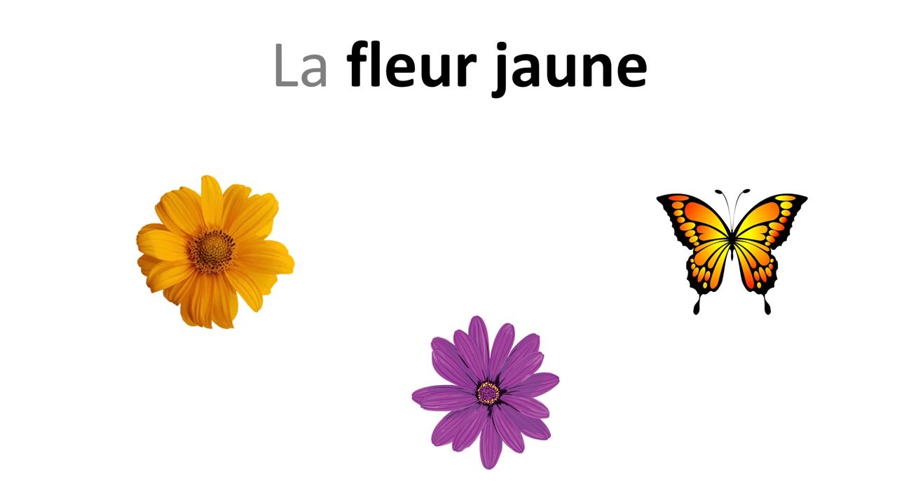 Sur le chemin des mots - Adjectifs de couleur