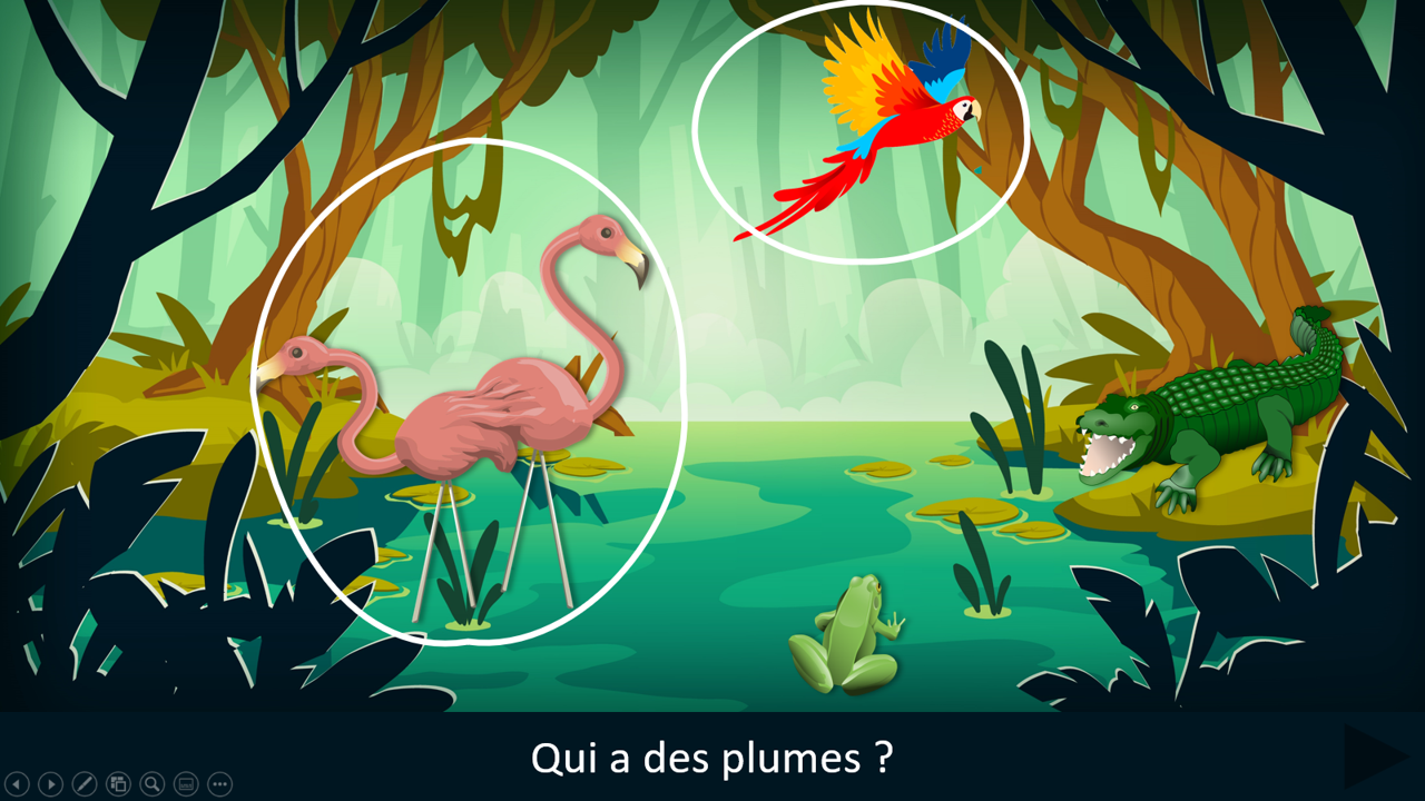 Sur le chemin des phrases - Affirmatives / négatives dans la jungle