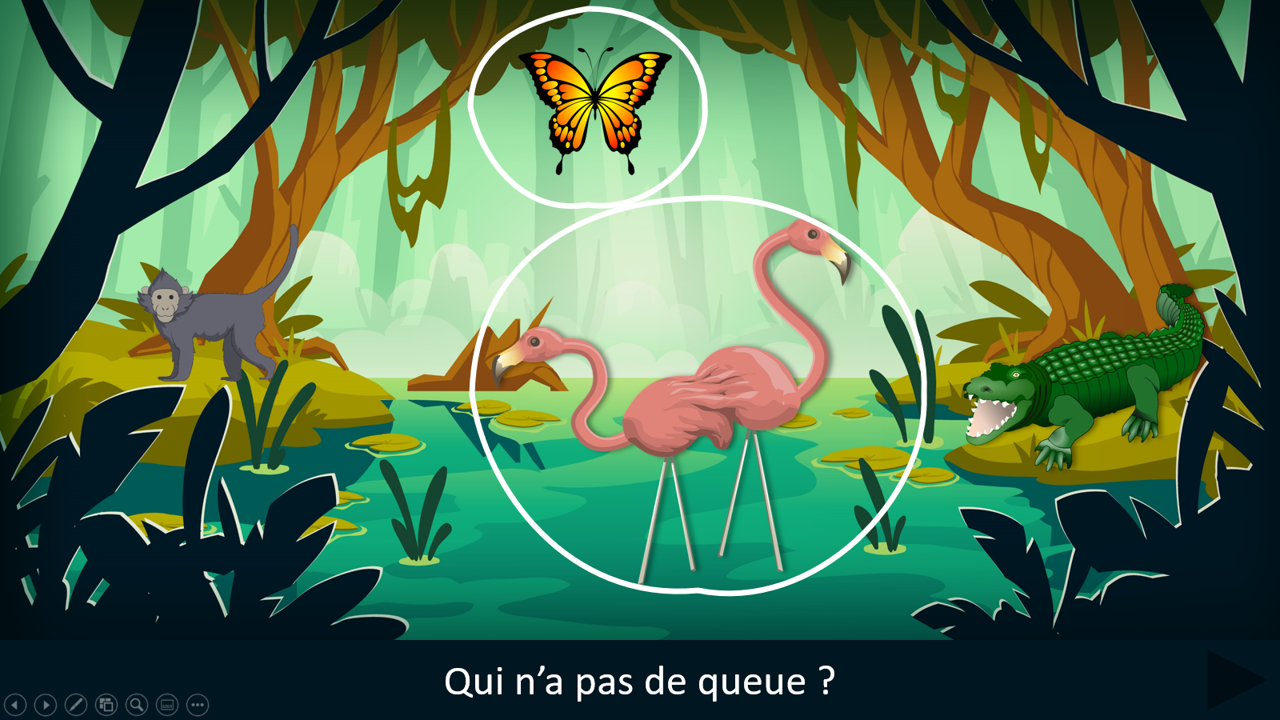 Sur le chemin des phrases - Affirmatives / négatives dans la jungle