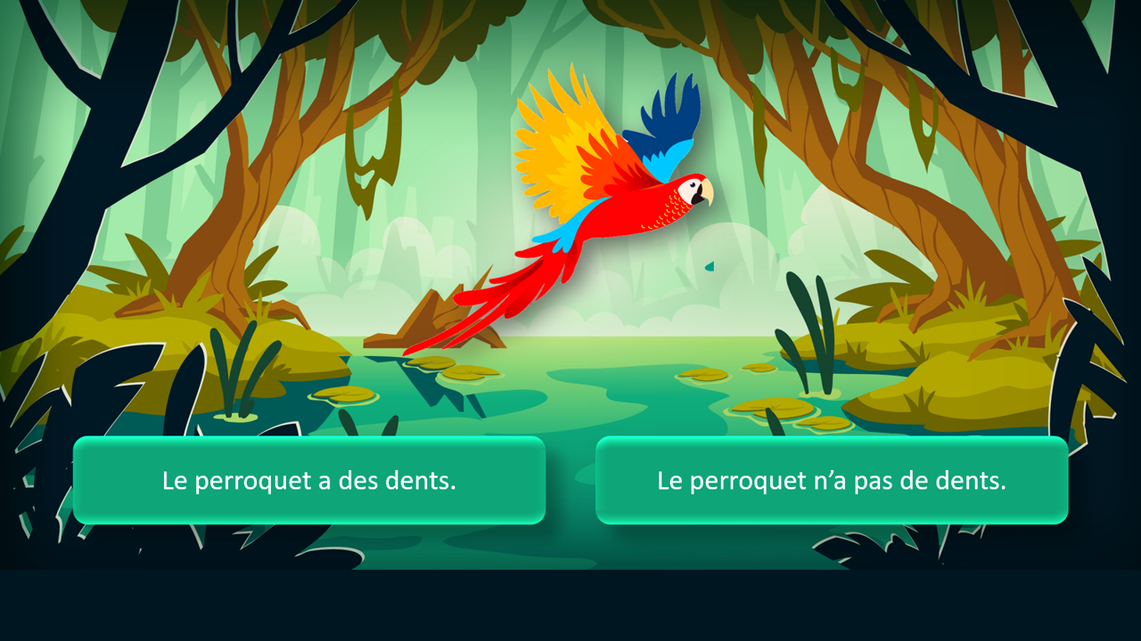 Sur le chemin des phrases - Affirmatives / négatives dans la jungle