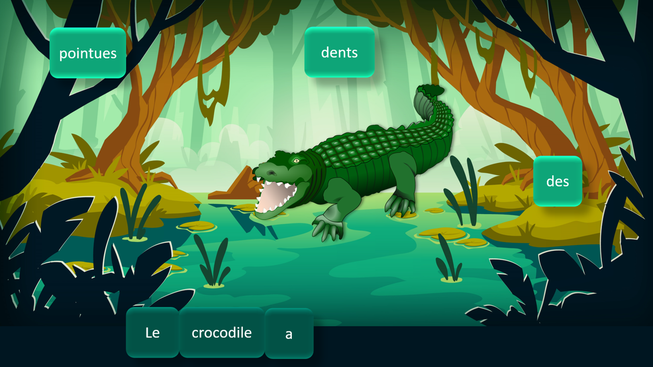 Sur le chemin des phrases - Affirmatives / négatives dans la jungle