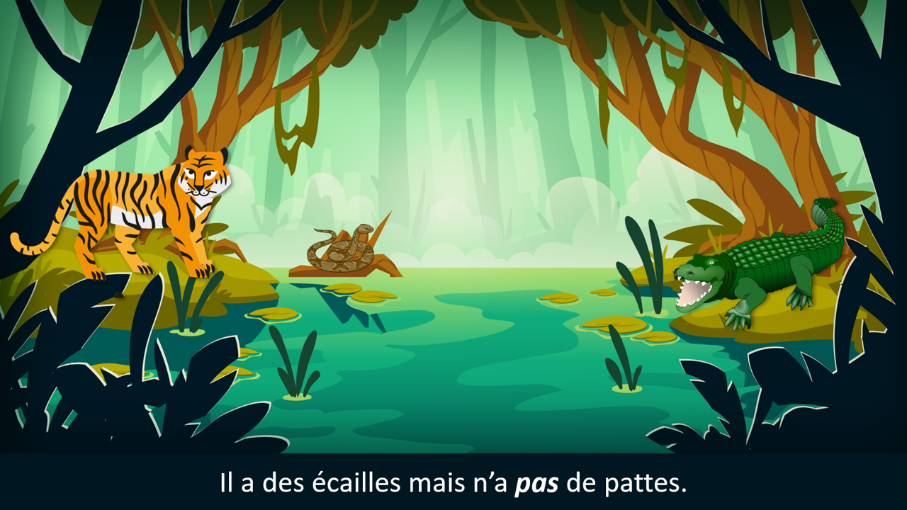 Sur le chemin des phrases - Affirmatives / négatives dans la jungle