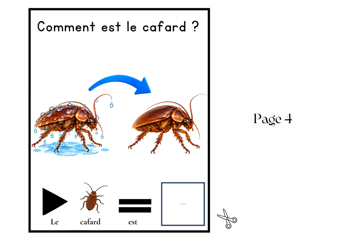 Livre Adapté en CAA, Adjectif "sec"