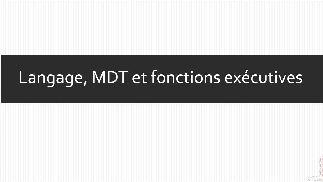 Langage MDT et Fexe