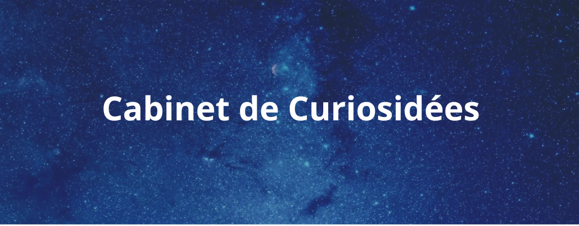 La partageuse du mois : Manon vous présente son Cabinet de Curiosidées