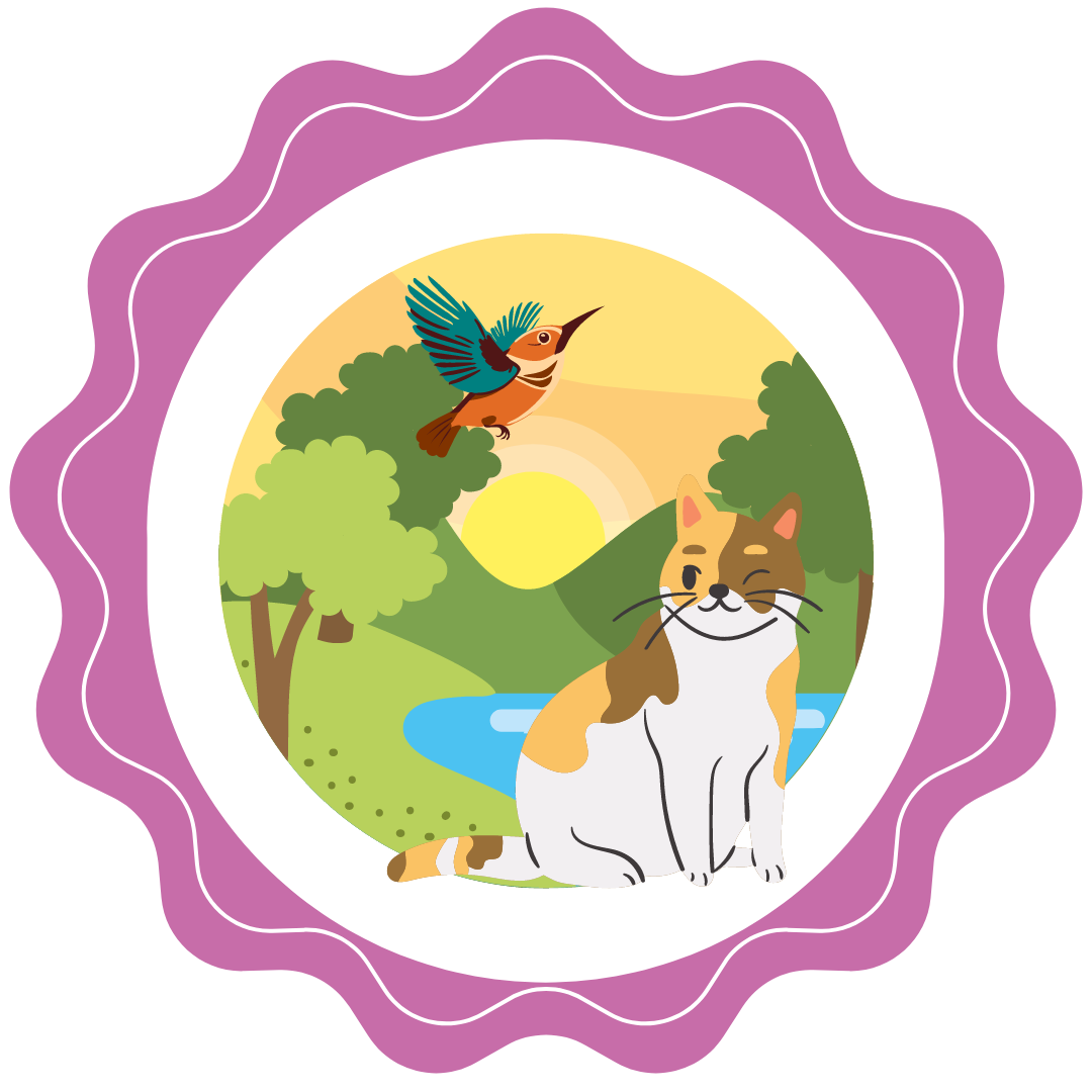 Nature, animaux