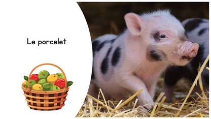 Les familles des animaux La ferme