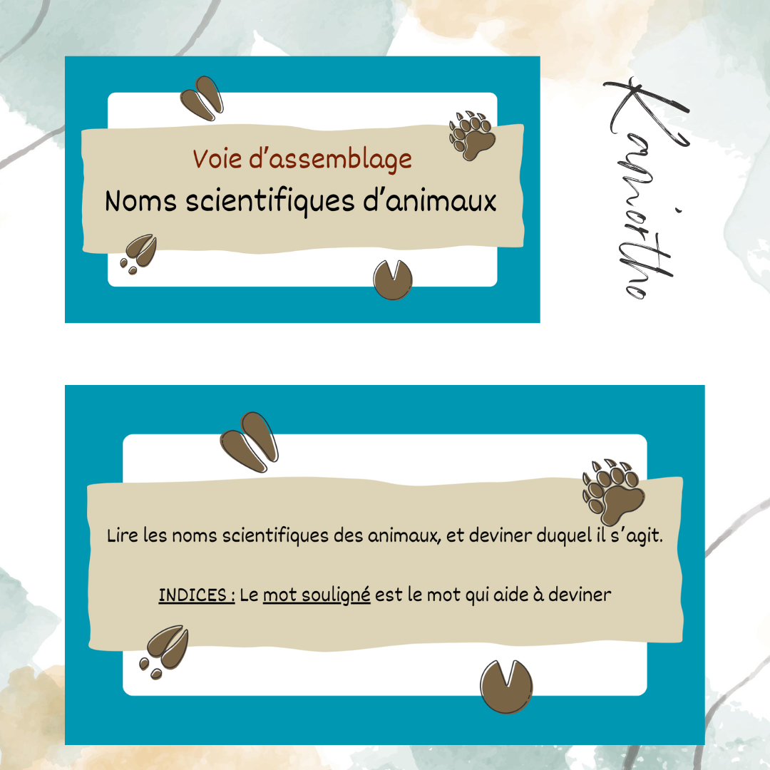 Assemblage - noms scientifiques d&