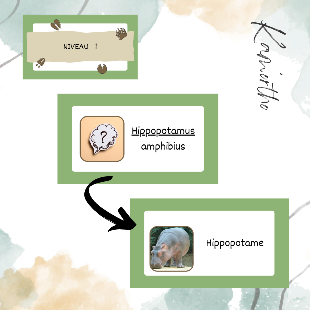 Assemblage - noms scientifiques d&