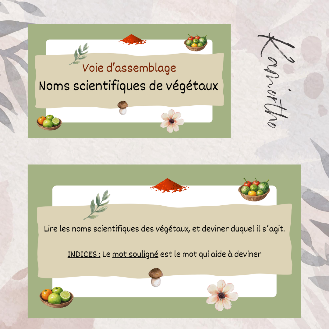 Assemblage - noms scientifiques de végétaux