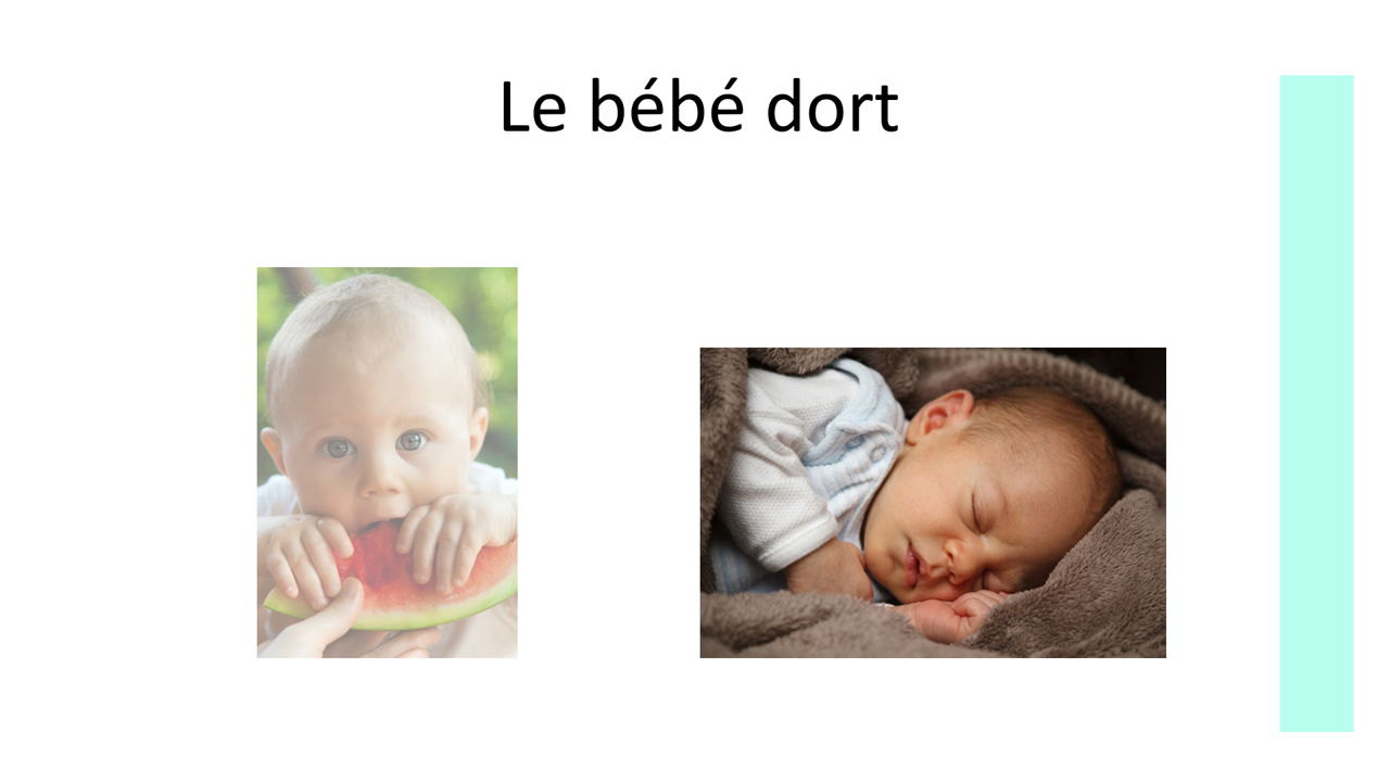 Sur le chemin des mots - Verbes intransitifs