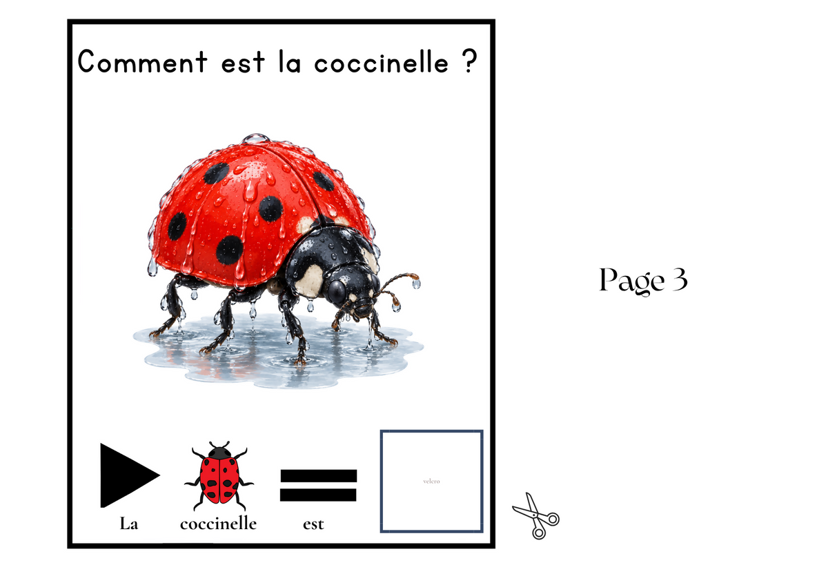Livre Adapté en CAA, Adjectif "mouillée"