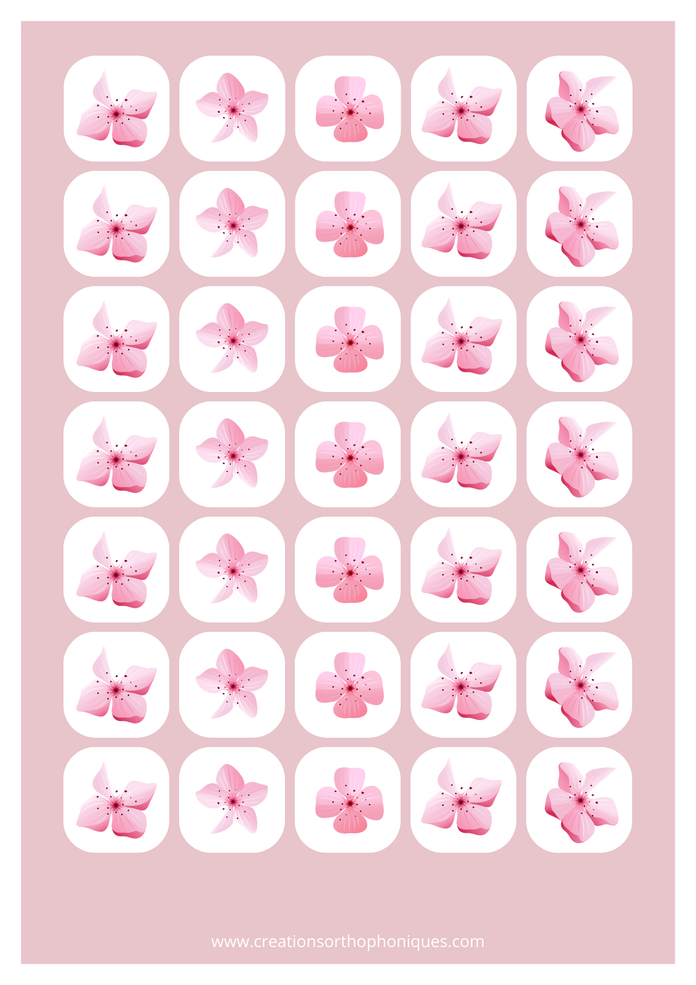 Le temps des cerisiers