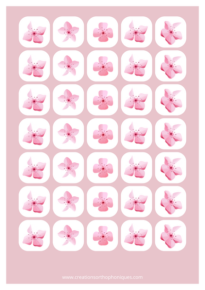 Le temps des cerisiers