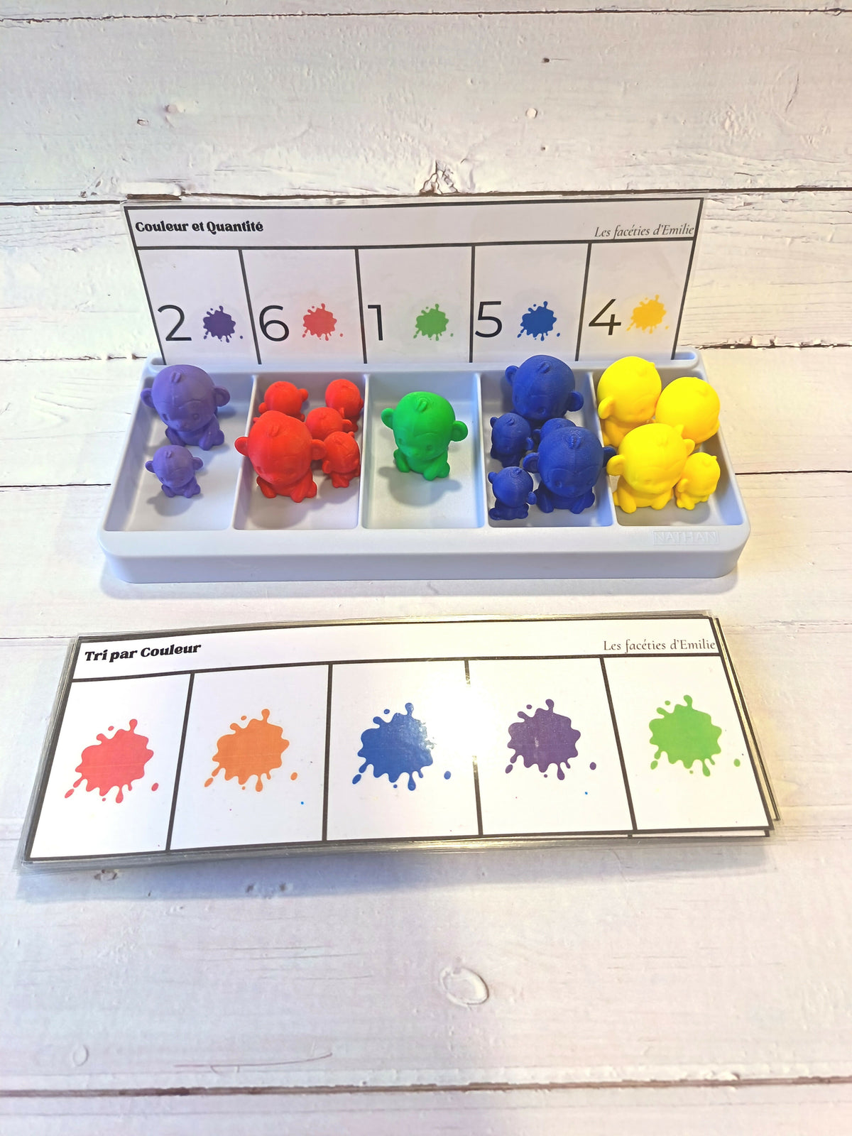 Atelier de tri : couleur, taille et quantité