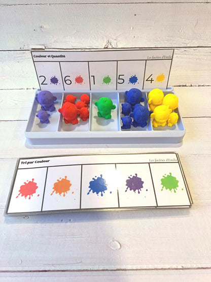 Atelier de tri : couleur, taille et quantité