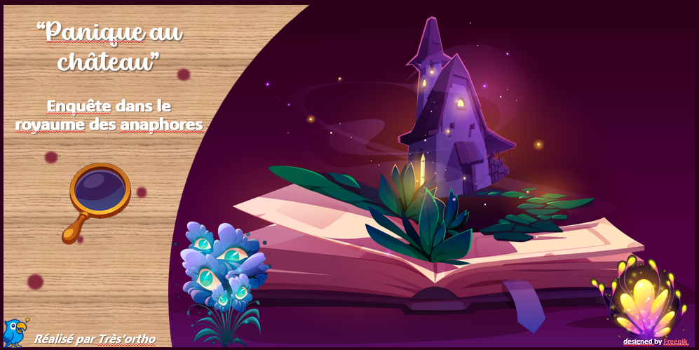 Panique au château - Une enquête au royaume des anaphores