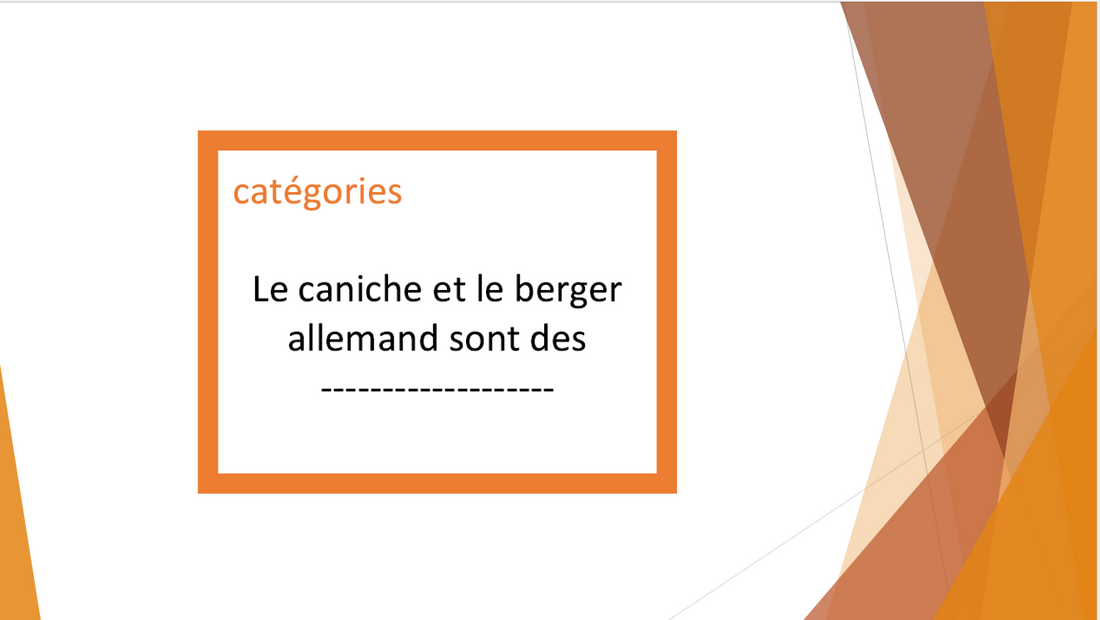 Les cartes catégories sémantiques de Valérie