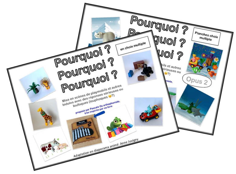 Boîte de Pourquoi Pourquoi Pourquoi ? - Pascale