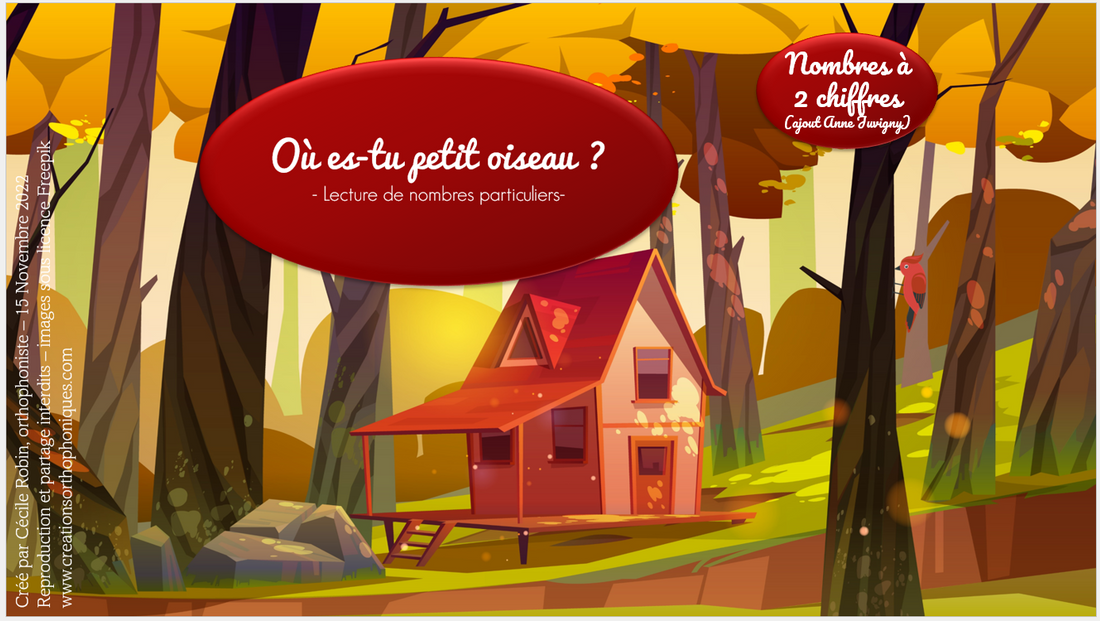 Extension - Où es-tu petit oiseau ?