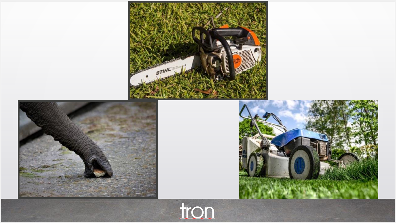 Ça commence pareil - Pascale