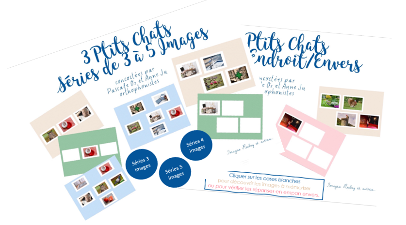 Boîte de 3 ptits chats
