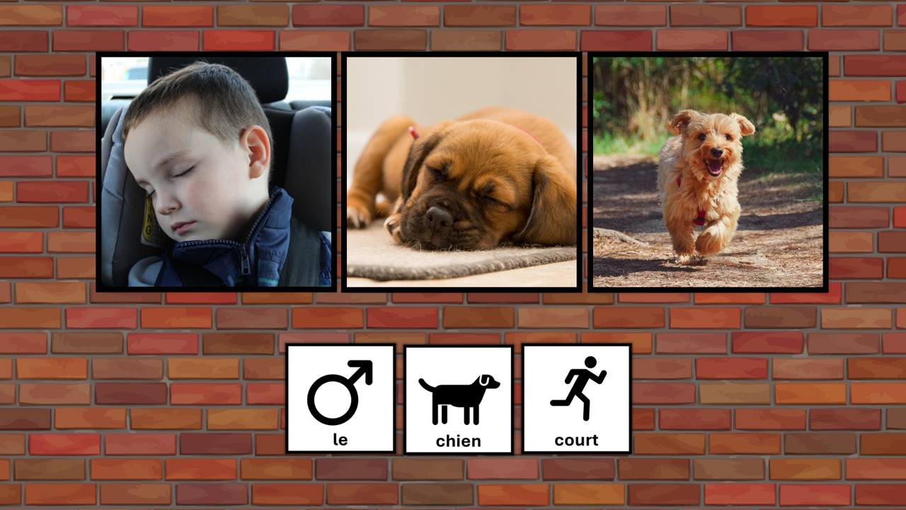 PACK 6 supports Langage oral