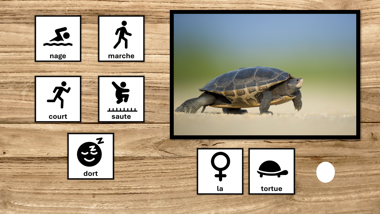 PACK 6 supports Langage oral