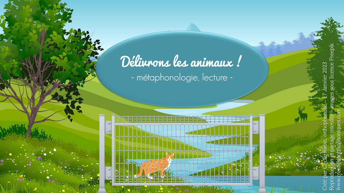 Délivrons les animaux