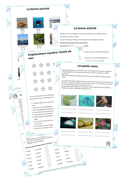 Cahier de vacances : langage écrit (PDF)