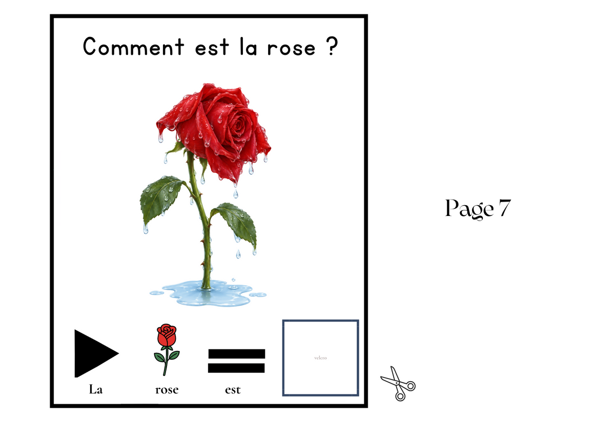 Livre Adapté en CAA, Adjectif "mouillée"