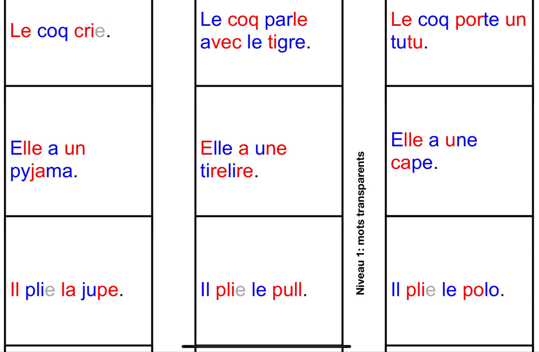 Mes premières phrases - 4 niveaux (Mots transparents, digraphes &amp; règles contextuelles, trigraphes, graphies complexes)