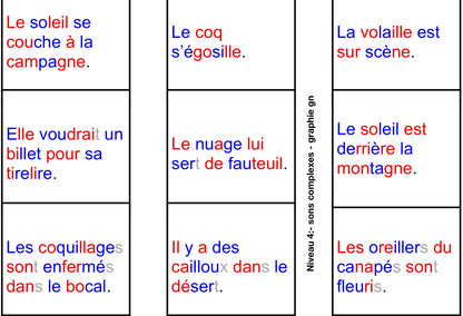 Mes premières phrases - 4 niveaux (Mots transparents, digraphes &amp; règles contextuelles, trigraphes, graphies complexes)