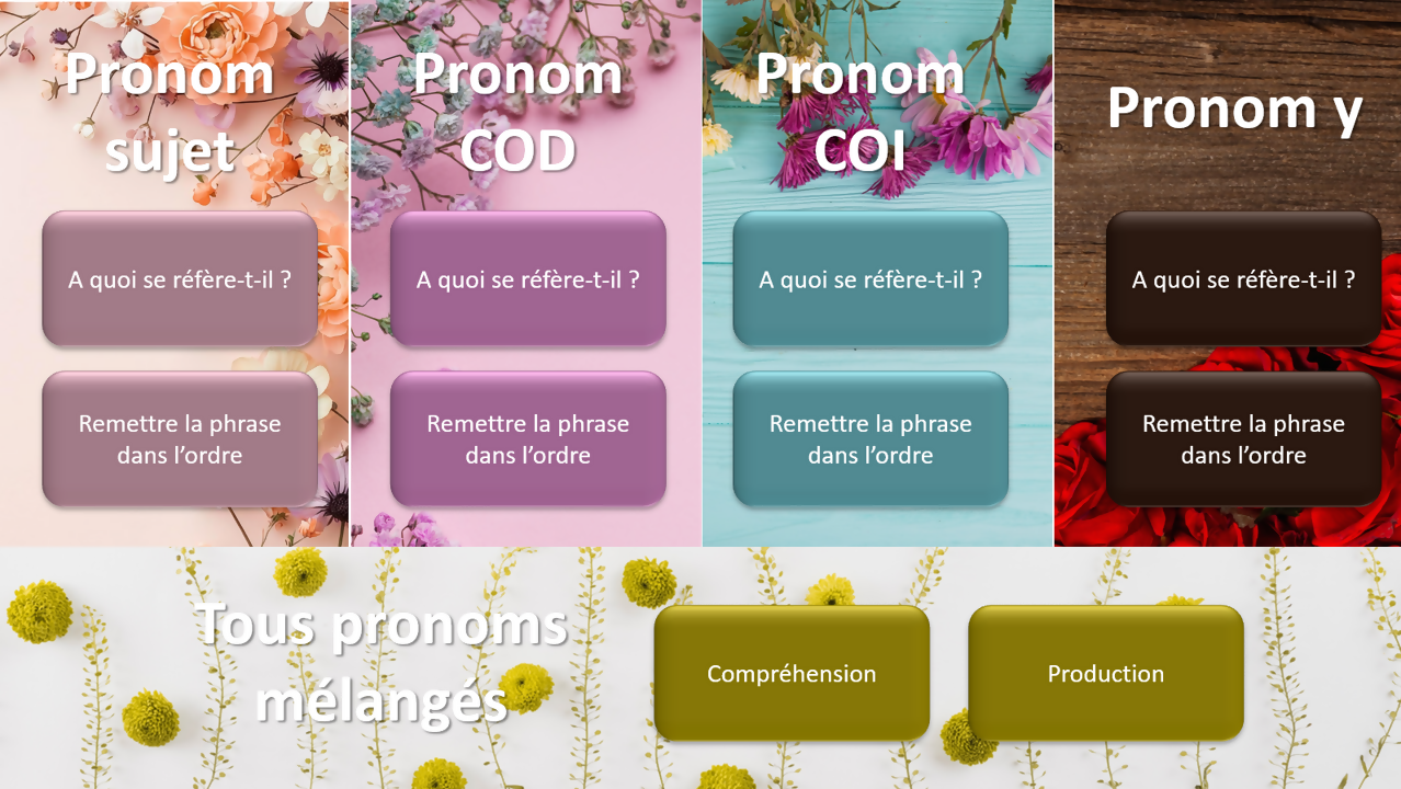 Pronoms mystères