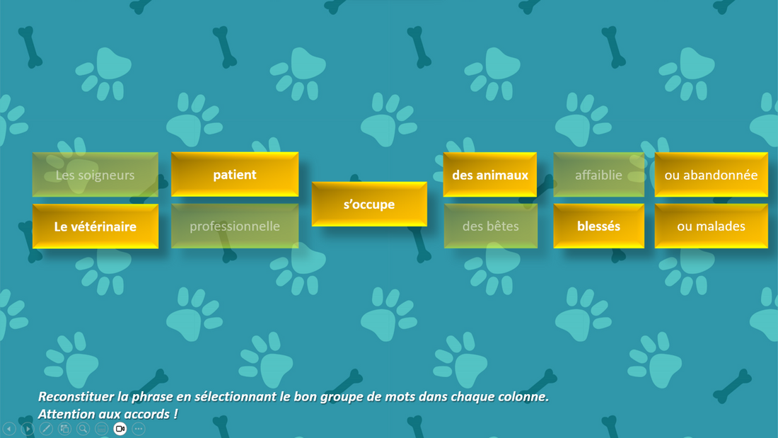 Nos animaux de compagnie