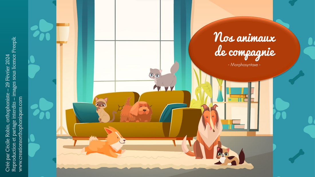Nos animaux de compagnie