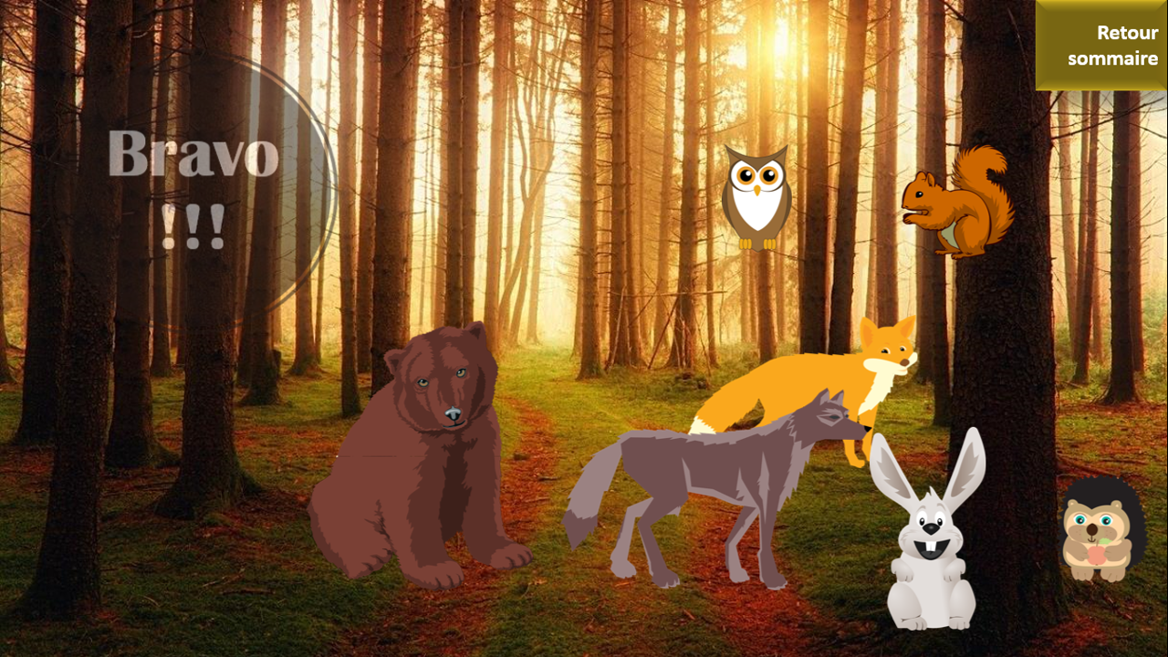 A la recherche des animaux de la forêt