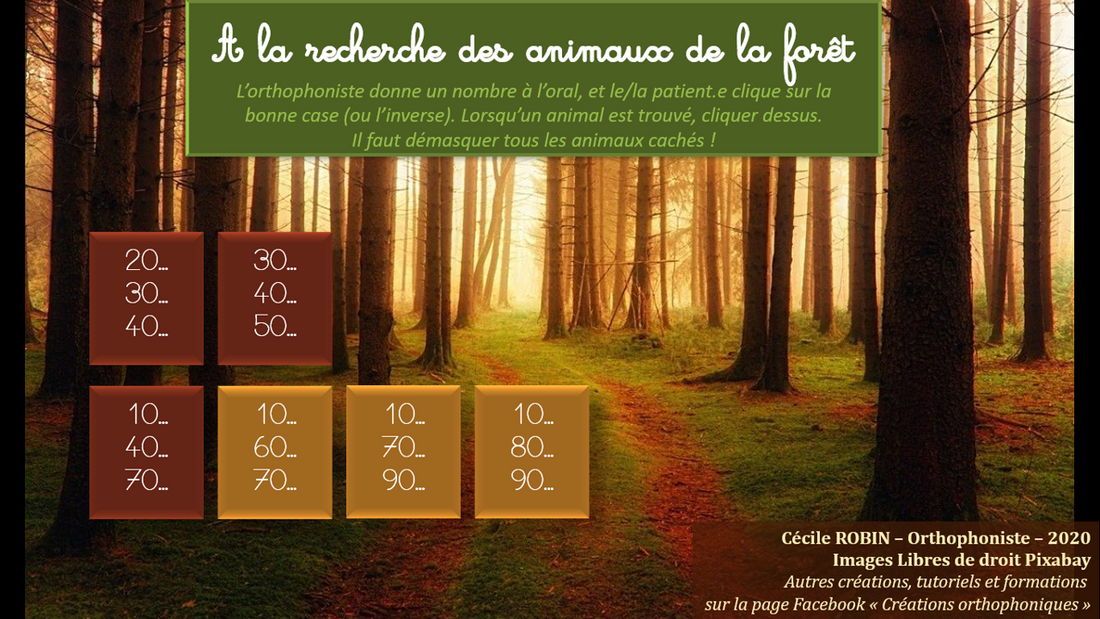 A la recherche des animaux de la forêt