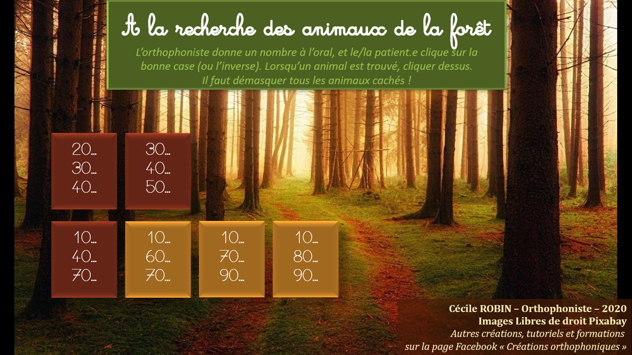A la recherche des animaux de la forêt