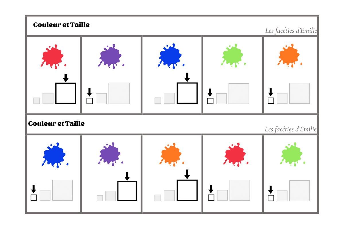Atelier de tri : couleur, taille et quantité