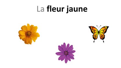 Sur le chemin des mots - Adjectifs de couleur