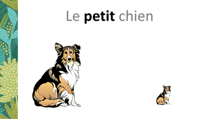 Sur le chemin des mots - petit/grand